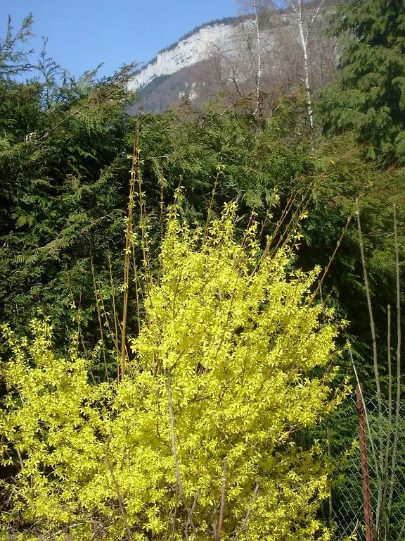 Gite Meuble Les Centaurees Saint-Martin-en-Vercors